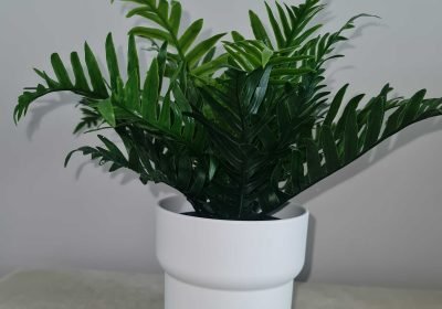 16d22cd5-b9f8-4dc2-a9bd-0d585159114f